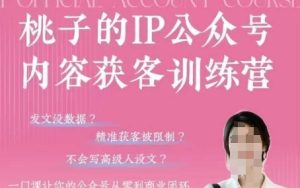 桃子IP公众号内容获客训练营(第3期)，一门让你公众号从0到商业闭环的课程-网赚资源网