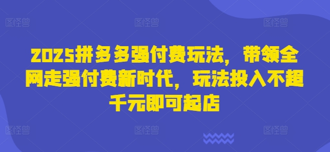 2025拼多多强付费玩法，带领全网走强付费新时代，玩法投入不超千元即可起店 - 网赚资源网-网赚资源网