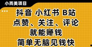 小而美的项目,抖音小红书B站视频点赞、关注、评论就能挣钱,简单无脑立见收益,妥妥的零撸项目【揭秘】-网赚资源网