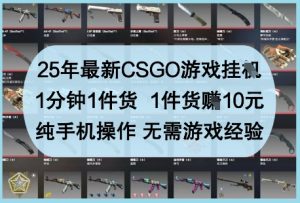 25年最新CSGO游戏挂G，1分钟1件货，1件货挣10元，纯手机操作，无需游戏经验【揭秘】-网赚资源网