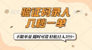 验证码录入，几秒钟一单，只需一部手机即可开始，随时随地可做，每天5张+【揭秘】-网赚资源网