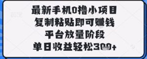 最新手机0撸小项目,复制粘贴即可挣钱,平台放量阶段,单日收益轻松3张+【揭秘】-网赚资源网