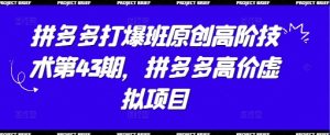 拼多多打爆班原创高阶技术第43期，拼多多高价虚拟项目-网赚资源网
