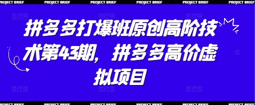 拼多多打爆班原创高阶技术第43期，拼多多高价虚拟项目 - 网赚资源网-网赚资源网