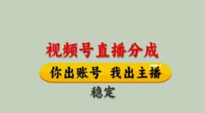 视频号直播分成,全程托管招募,单月轻松变现8k【揭秘】-网赚资源网