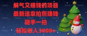 解气又挣钱的项目,最新违章拍照挣钱,随手一拍,轻松收入数张【揭秘】-网赚资源网