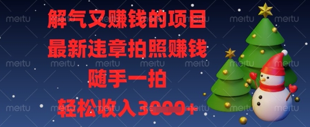 解气又挣钱的项目，最新违章拍照挣钱，随手一拍，轻松收入数张【揭秘】 - 网赚资源网-网赚资源网