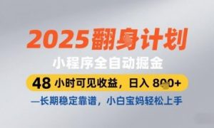 2025小程序全自动掘金,48 小时可见收益,日入8张,长期稳定靠谱,小白宝妈轻松上手【揭秘】-网赚资源网