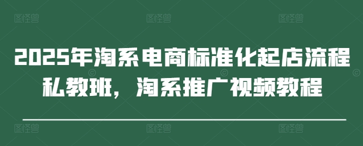2025年淘系电商标准化起店流程私教班，淘系推广视频教程 - 网赚资源网-网赚资源网