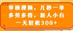 视频审核员,几秒一单,不限时间,不限地点,多做多得,新人小白一天轻松几张+【揭秘】-网赚资源网