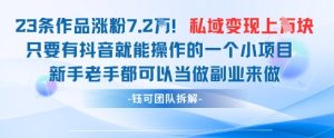 抖音私域项目23条作品涨粉7.2W，私域变现1W-网赚资源网