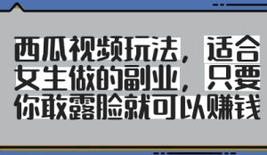 西瓜视频玩法,适合女生做的副业,只要你敢露脸就有收益-网赚资源网