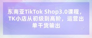 东南亚TikTok Shop3.0课程，TK小店​从初级到高阶，运营出单干货输出-网赚资源网