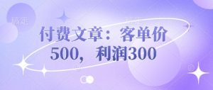 付费文章：客单价500，利润300-网赚资源网