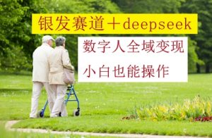 银发赛道+deepseek数字人全域变现,小白也能操作-网赚资源网
