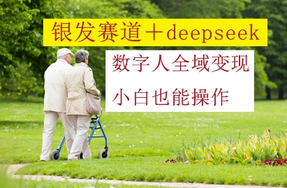银发赛道+deepseek数字人全域变现，小白也能操作 - 网赚资源网-网赚资源网