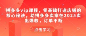 拼多多vip课程,零基础打造店铺的核心秘诀,助拼多多卖家在2025卖出爆款,订单不断-网赚资源网
