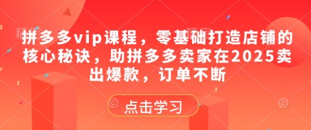 拼多多vip课程，零基础打造店铺的核心秘诀，助拼多多卖家在2025卖出爆款，订单不断 - 网赚资源网-网赚资源网