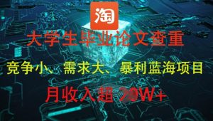 大学生毕业论文查重，暴利蓝海项目，月收入过1W+-网赚资源网