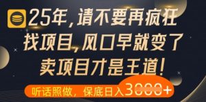 什么？25年你还在疯狂找项目做，醒醒吧，看完这些你全都懂了【揭秘】-网赚资源网
