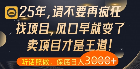 什么？25年你还在疯狂找项目做，醒醒吧，看完这些你全都懂了【揭秘】 - 网赚资源网-网赚资源网