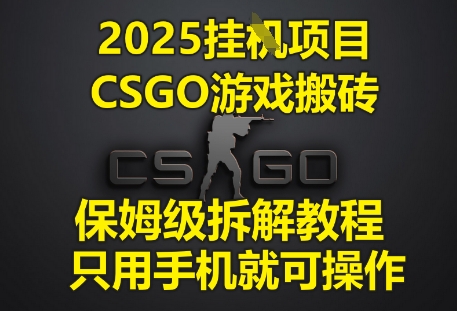 2025挂G项目，CSGO游戏搬砖，保姆级拆解教程，只用手机就可操作【揭秘】 - 网赚资源网-网赚资源网