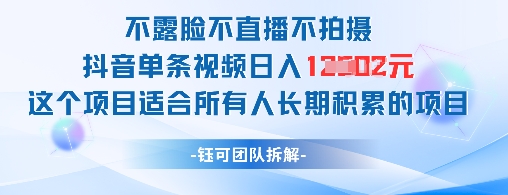 不露脸不直播不拍摄抖音单条视频日入1k+这个项目适合所有人长期积累的项目 - 网赚资源网-网赚资源网