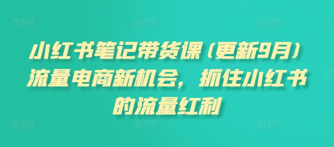 小红书笔记带货课(更新25年5月)流量电商新机会，抓住小红书的流量红利 - 网赚资源网-网赚资源网