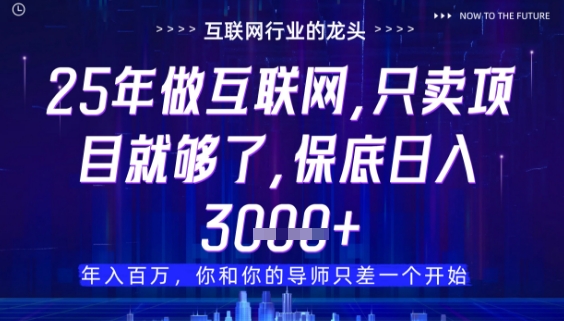 什么！25年你还在找项目做？风口早就变了，卖项目才是稳挣不赔【揭秘】 - 网赚资源网-网赚资源网