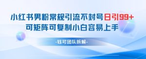 小红书男粉常规引流不封号日引99+变现简单 可矩阵可复制小白容易上手-网赚资源网