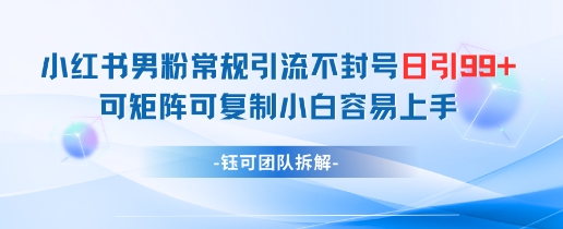 小红书男粉常规引流不封号日引99+变现简单 可矩阵可复制小白容易上手 - 网赚资源网-网赚资源网