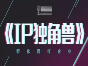 IP独角兽,孵化网红企业,ip教程-网赚资源网