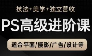 PS高级后期进阶课(技法+美学+独立营收),适合平面摄影广告设计等-网赚资源网