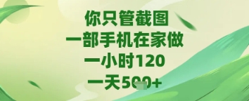 你只管截图，一部手机在家做，苹果安卓都可以，一天5张+【揭秘】 - 网赚资源网-网赚资源网
