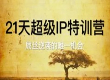 21天超级IP特训营，屌丝逆袭的唯一机会 - 网赚资源网-网赚资源网