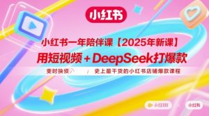 小红书一年陪伴课【2025年新课】,用短视频+deepSeek打爆款,史上最干货的小红书店铺爆款课程-网赚资源网