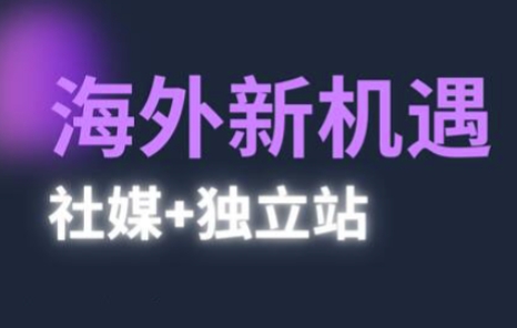 2025出海新机遇(社媒+独立站)，海外新机遇，实现独立站的高效运营与出海 - 网赚资源网-网赚资源网