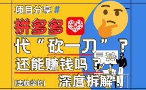 【2025最新】拼多多代坎助力项目深度拆解:还能挣钱吗?全流程玩法-网赚资源网