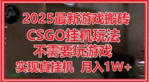 2025最新游戏搬砖,CSGO挂G,不需要玩游戏,实现真挂G,月入1W+【揭秘】-网赚资源网