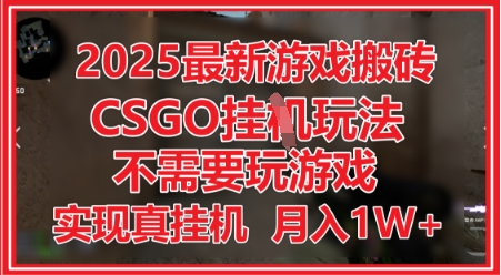 2025最新游戏搬砖，CSGO挂G，不需要玩游戏，实现真挂G，月入1W+【揭秘】 - 网赚资源网-网赚资源网
