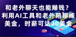 和老外聊天也能挣钱?利用AI工具和老外陪聊挣美金,时薪可达20刀-网赚资源网