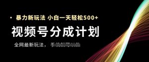 视频号分成计划，全网最暴力玩法，新手一天也能轻松5张+-网赚资源网