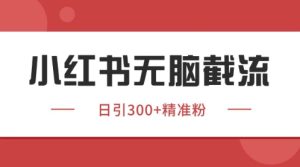 小红书只要你有同行就能获客，独家野路子获客玩法，暴力截流【揭秘】 - 网赚资源网-网赚资源网