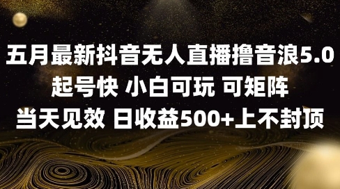 2025五月最新无人直播撸音浪单日产出5张+实操教程【揭秘】 - 网赚资源网-网赚资源网