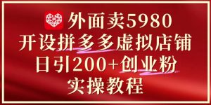 外面卖5980开设拼多多虚拟店铺：单日引流200+创业付费粉实战教程 - 网赚资源网-网赚资源网
