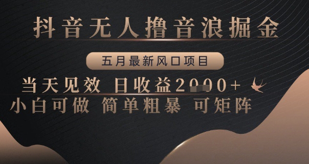 抖音无人撸音浪掘金，五月最新风口项目，当天见效，日收益多张，小白可做简单粗暴可矩阵【揭秘】 - 网赚资源网-网赚资源网