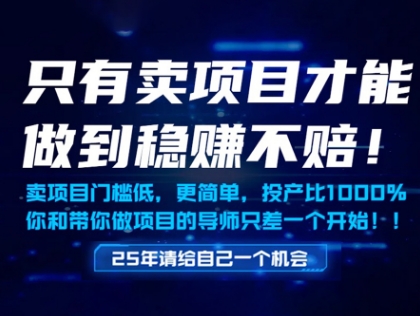 只有卖项目才能做到稳挣不赔，门槛低，更简单，你也可以年入百个W【揭秘】 - 网赚资源网-网赚资源网