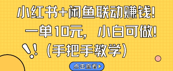 小红书+闲鱼联动挣钱，一单10元，小白可做 - 网赚资源网-网赚资源网