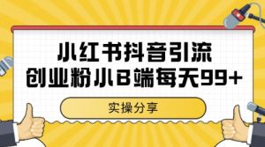 小红书抖音创业粉,小B端粉自热,日引99+的一个玩法【揭秘】-网赚资源网