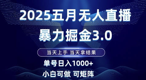 2025五月无人直播暴力掘金3.0，当天上手，当天拿结果，单号日入1k+小白可做可矩阵【揭秘】 - 网赚资源网-网赚资源网